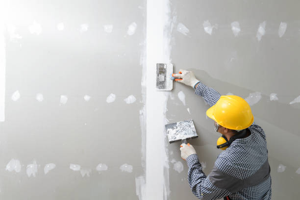 Trusted Minneola, FL Drywall & Painting Services Experts